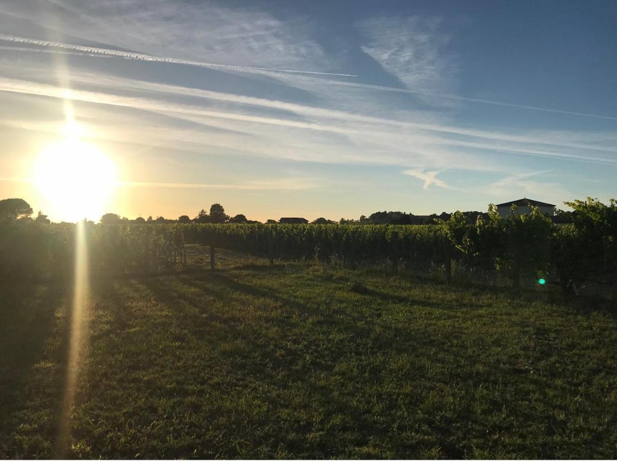 L'Oree Des Vignes Saint-Émilion Zewnętrze zdjęcie